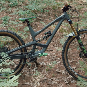 Capra AL MK2 FB